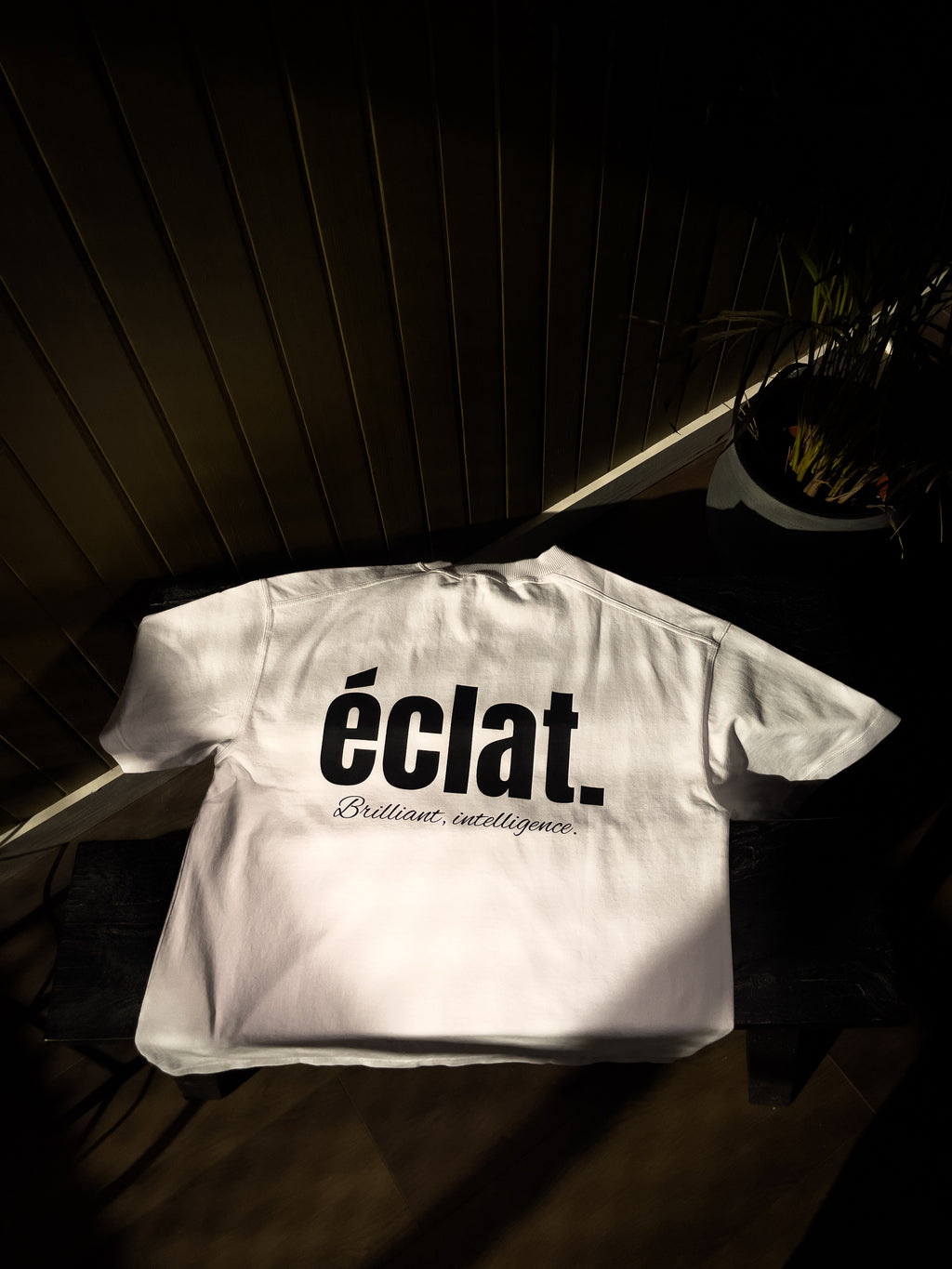 TB Basic White T-Shirt